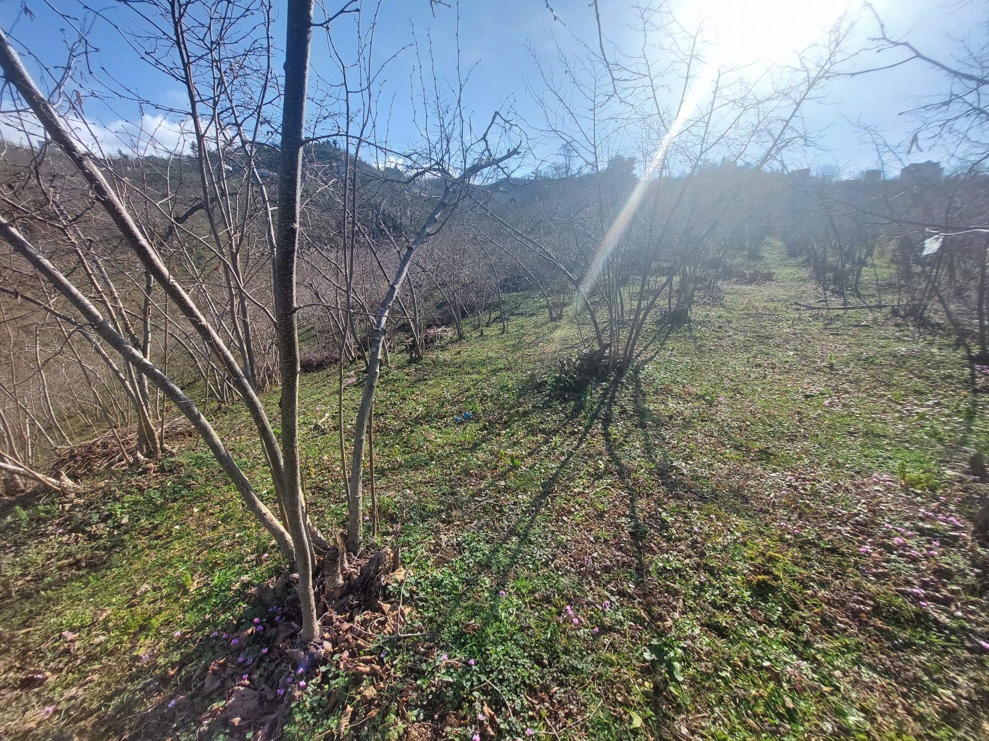 AKÇATEPE KAT KARŞILIĞI